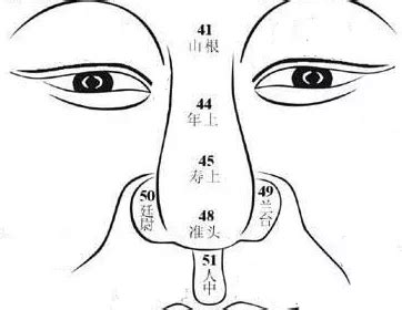 鼻子運勢|面相鼻子看人一生成與敗